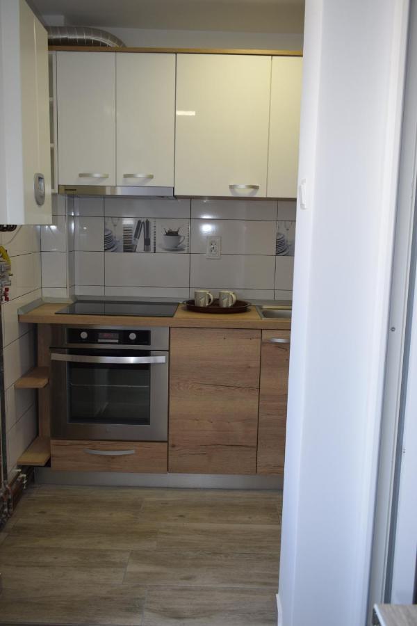 Apartament Palatul De Justitie Rhbm Baia Mare Ngoại thất bức ảnh